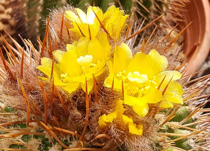 20250501_104506_small