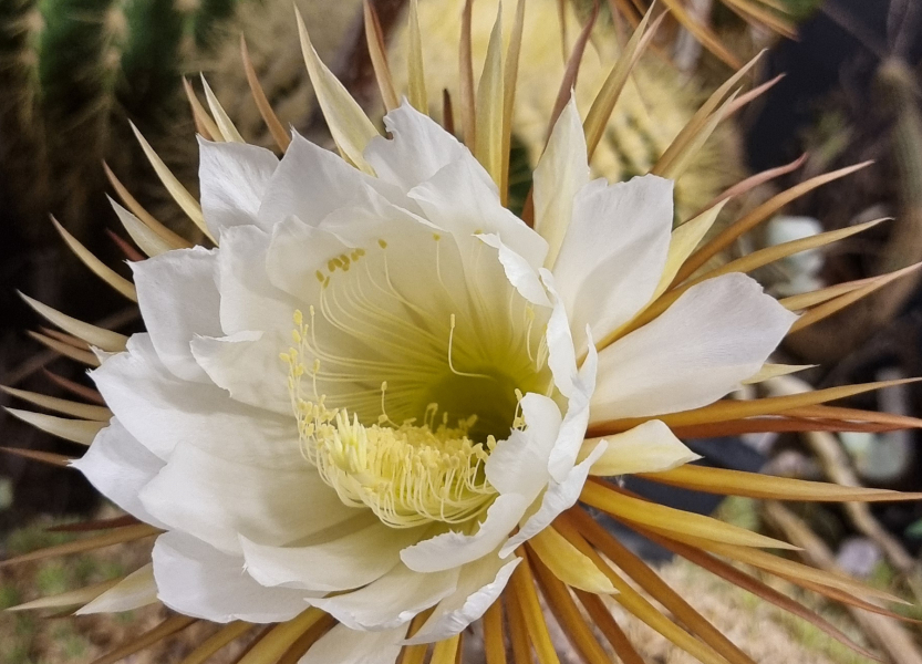 20250615_211912_small